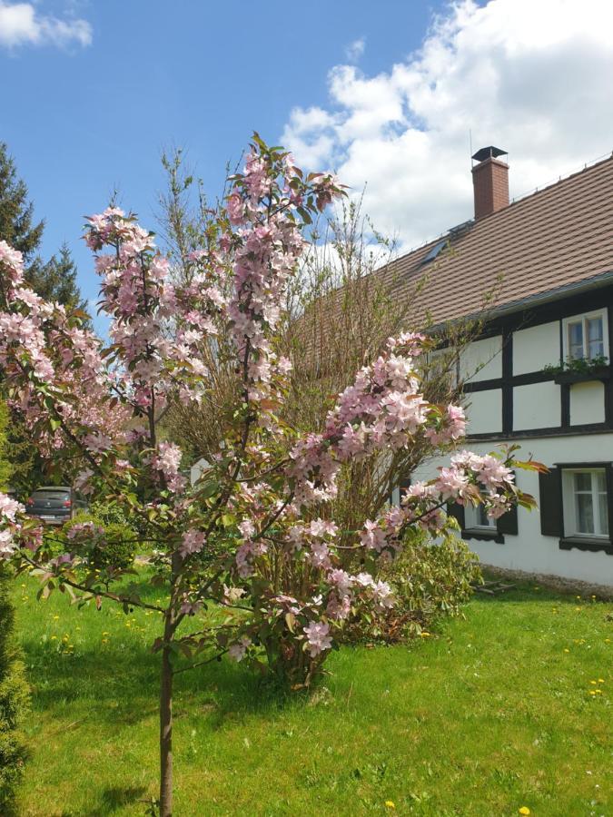 Lusatia Farm Лєшна Екстер'єр фото