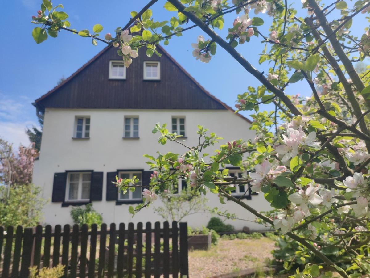 Lusatia Farm Лєшна Екстер'єр фото
