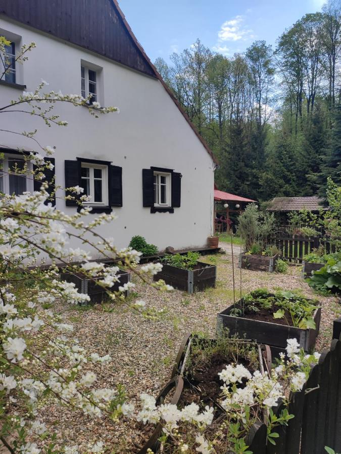 Lusatia Farm Лєшна Екстер'єр фото