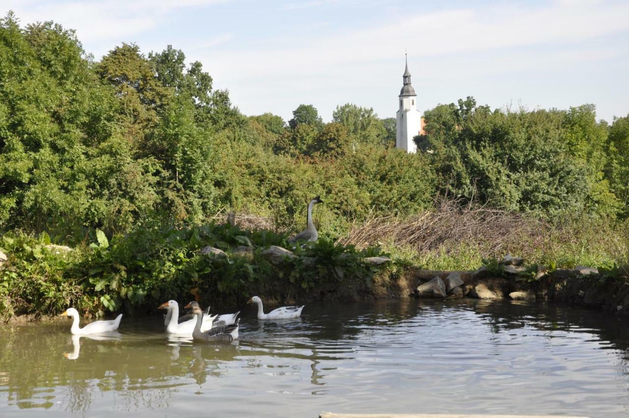 Lusatia Farm Лєшна Екстер'єр фото